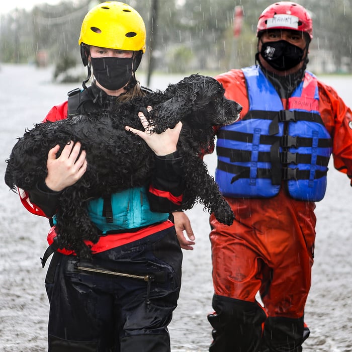 DisasterResponse DisasterResponse