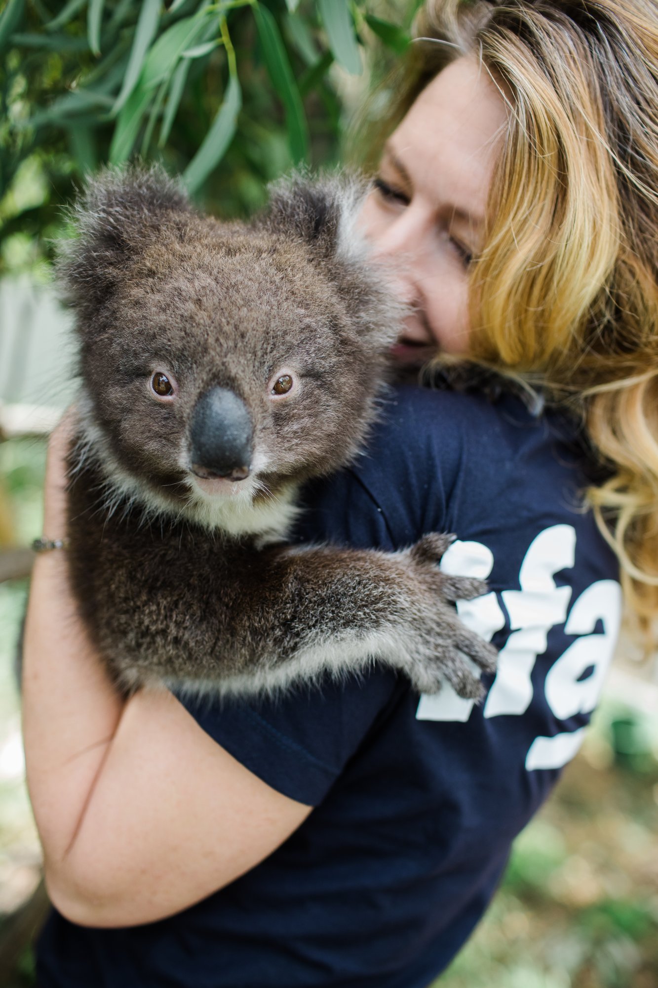 WR202002_KoalaRehab_013_379117 (2)