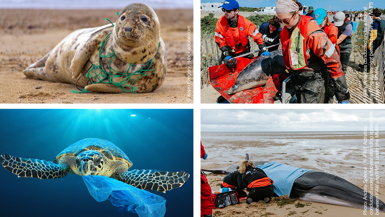 FY25_665164_321299_692589_415822_1248x702-1 FY25_665164_321299_692589_415822_1248x702-1